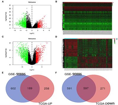 Frontiers AGAP2 AS1 May Promote The Occurrence And Development Of